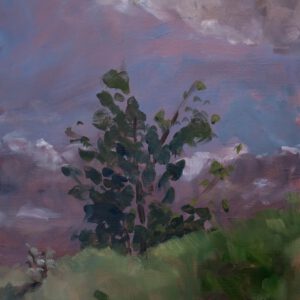 Noordduinen II