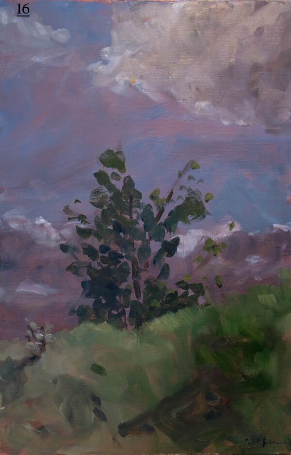 Noordduinen II