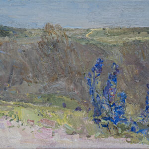 Blauwe bloemen