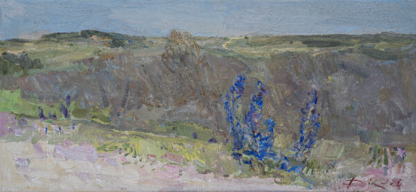 Blauwe bloemen