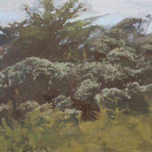 Dunes (2026)