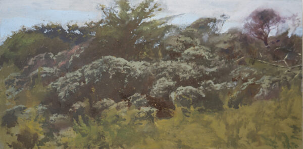 Dunes (2026)